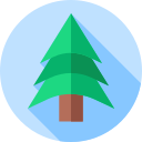 bosque icon