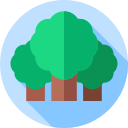 bosque icon