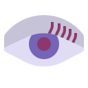 ojo icon