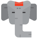 l'éléphant 