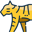 tigre icon