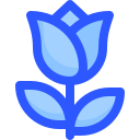 rosa icon