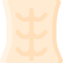 abdominal