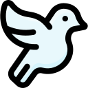 pájaro icon