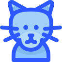 gato azul ruso