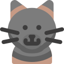 gato icon