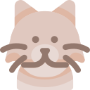 gato persa icon