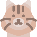 gato icon