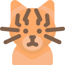 gato icon