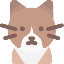 gato icon