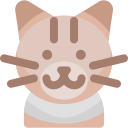 gato icon