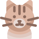 gato icon