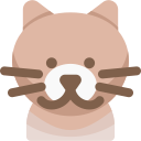 gato icon