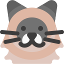 gato del himalaya icon