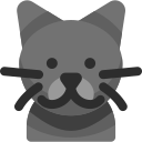 gato icon