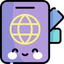 pasaporte icon