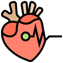 corazón icon