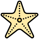 estrella de mar