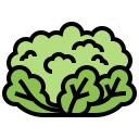 coliflor icon