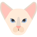 gato oriental icon