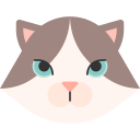 gato ragdoll icon