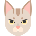 gato singapura icon