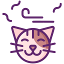 gato icon