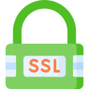 ssl icon