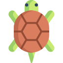 tortuga