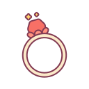 anillo icon