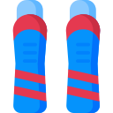 tibia 