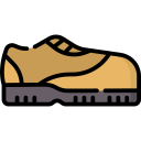 zapato icon