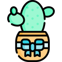 cactus icon