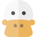 pato icon