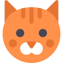 gato 