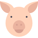 Pig - Free animals icons