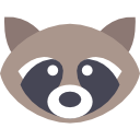 Raccoon Icon