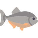 piraña 