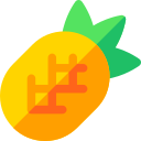 piña icon