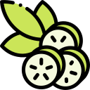 pepino icon