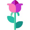 rosa icon