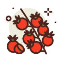 tomate cherry 