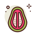 guayaba icon