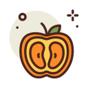 mandarina icon