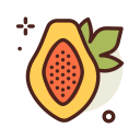 papaya icon