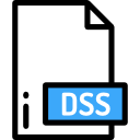 dss 