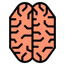 cerebro icon