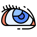 ojo icon