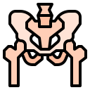 pelvis icon