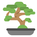 bonsai icon